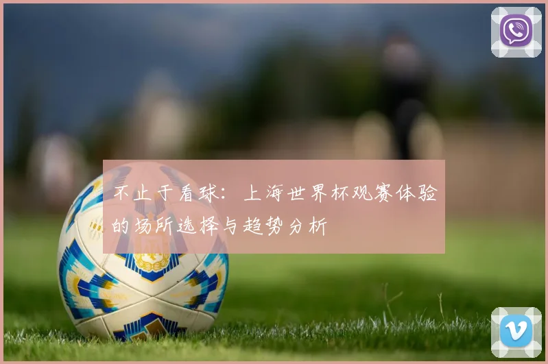 不止于看球：上海世界杯观赛体验的场所选择与趋势分析