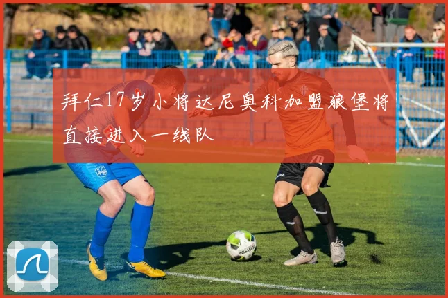 拜仁17岁小将达尼奥科加盟狼堡将直接进入一线队